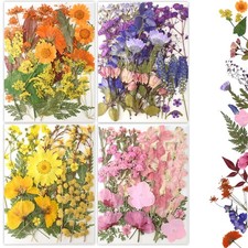 80 Pcs Pressed Dried Flowers for Resin Mold Nail Art Scrapbooking Jewelry