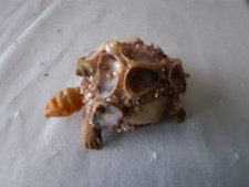 Kleine Schildkröte mit Muschelpanzer + kleiner Blütenkranz aus Porzellan