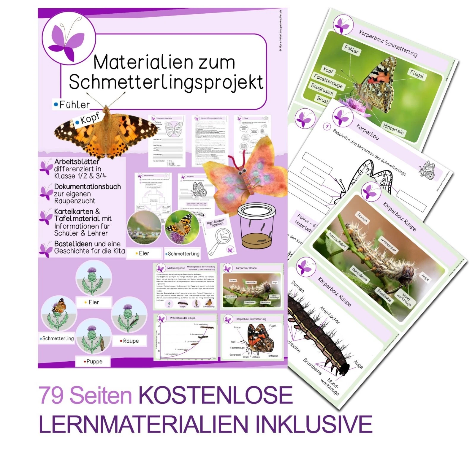 Bild 7 von 16