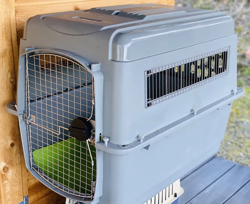 petmate sky kennel xlarge
