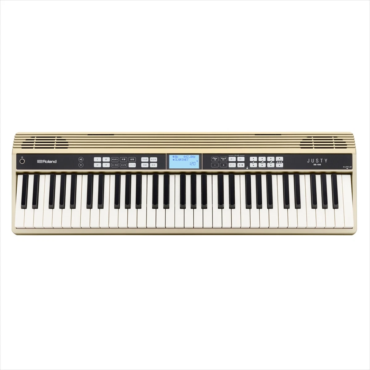 ROLAND JUSTY Harmony & Rhythm Practice Electric Keyboard HK-100