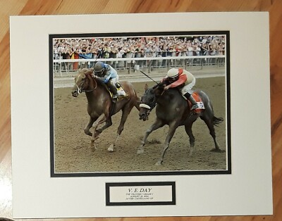 V E Day wins 2014 Travers Stakes  Javier Castellano Saratoga Race Course