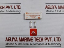 Lot De 11X FUSIBLE En Verre WICKMANN-WERKE F1L250V