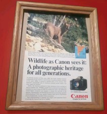 Canon T90 SLR Camera Print Advert 1988 UNFRAMED 6.5x10" South Andean Huemul Deer