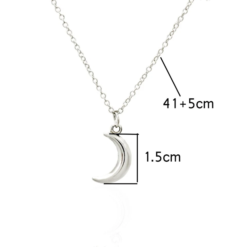 Collana LUNA Argento con catena Acciaio inox e ciondolo 3D Portafortuna da Donna - Immagine 3 di 4
