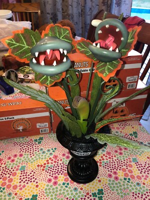 Ghoulish Garden Succulent Halloween Medium Planter Target Hyde & Eek Boutique