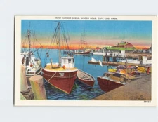 Postcard Busy Harbor Scene, Cape Cod, Woods Hole, Massachusetts