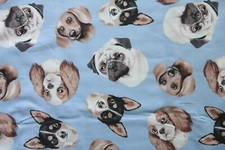 Timeless Treasures DOG-C5750 BLUE fabric dogs blue background 1yd