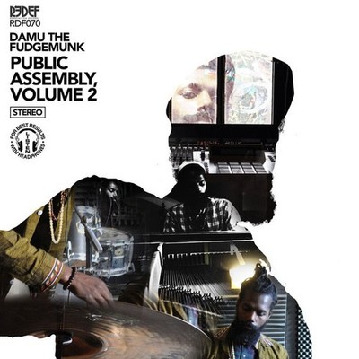 Damu The Fudgemunk - Public Assembly Volume 2 - Vinyl Record (LP) - Very Good Pl