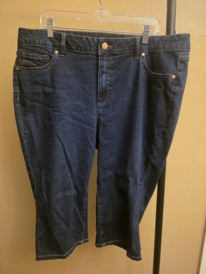 Capris 20W Plus Size by d.jeans