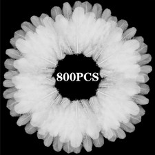 800Pcs White Craft Rooster Feathers 3-5 inch Bulk Feathers for Crafting Kinderga