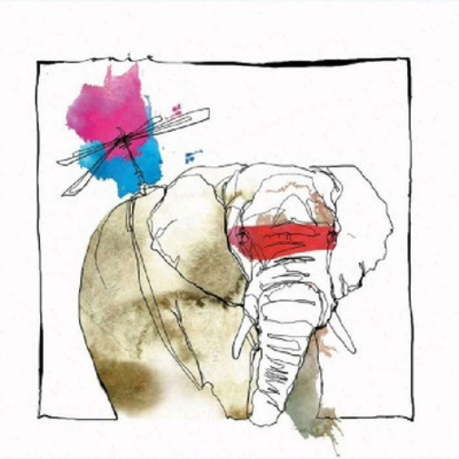 David Mayer The Call (Vinyl) 12