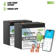 2PCS 12V 100Ah LiFePO4 Deep Cycle Lithium Battery for RV Solar Trolling Motor