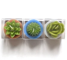 Succulent Candle Set of 3 Live What you Love Grows Here Happy Place Table Decor