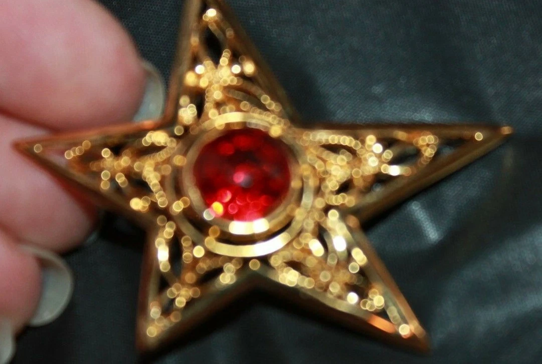 Gold star brooch sale