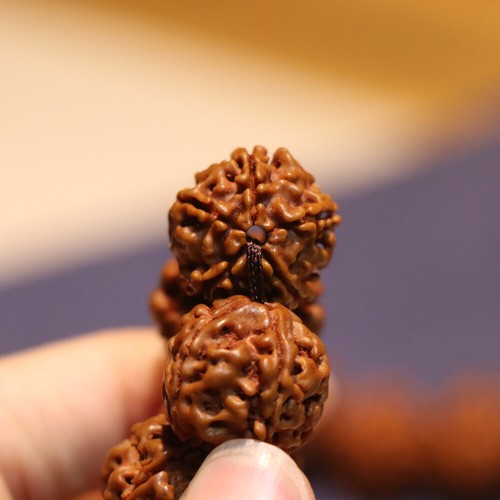 108 pulseras de cuentas de Buda Nepalí Vajra Bodhi cinco pétalos nueces Vajra Bodhi - Imagen 5 de 8