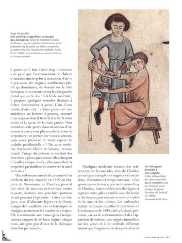 Pestes et épidémies Moyen-Age, livre de F. de Lannoy - Imagen 5 de 9