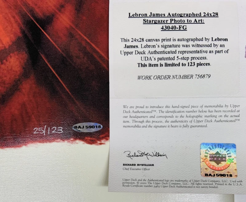 LeBron James Autografiado Cavaliers "Stargazer" "28 x 24" Litografía UDA LE 123 Foto 3 de 4