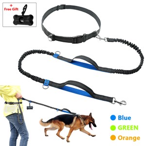 bungee dog running lead
