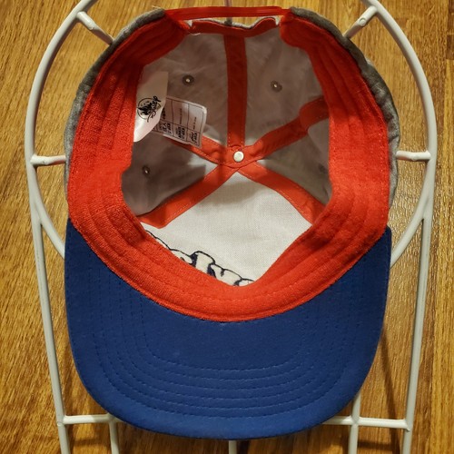 Disney Hat Cap Snapback Adult Gray Disneyland Resort Embroidered Logo - Picture 6 of 7