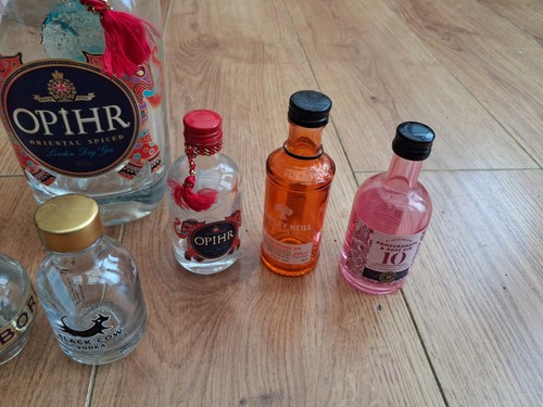 9 Empty Alcohol Bottles Miniatures & Regular Sized Gin Crafting Display - Picture 4 of 8