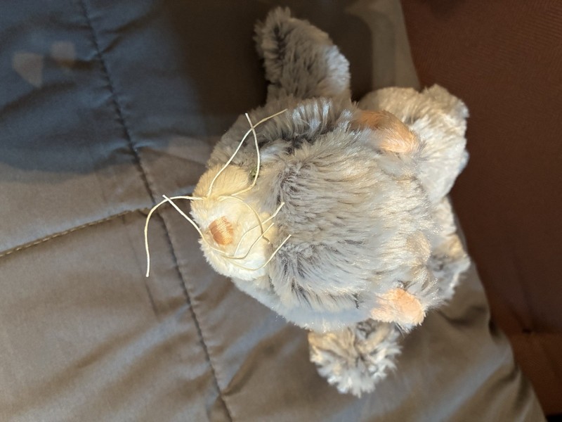 Ganz Webkinz Silversoft Cat  Plush Kitty No Code
