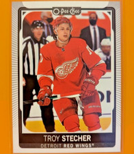 2021-22 O-Pee-Chee #231 Troy Stecher