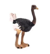 Ostrich Bird Wild Animal Figure Toy PVC Doll Small Figurine Birthday Gifts