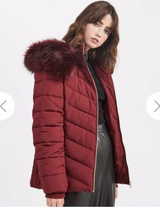miss selfridge padded jacket