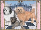 Lowchen Birthday Card 5 x 7 with Envelope