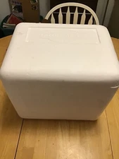 Styrofoam Cooler 17x13x13 Shipping Container
