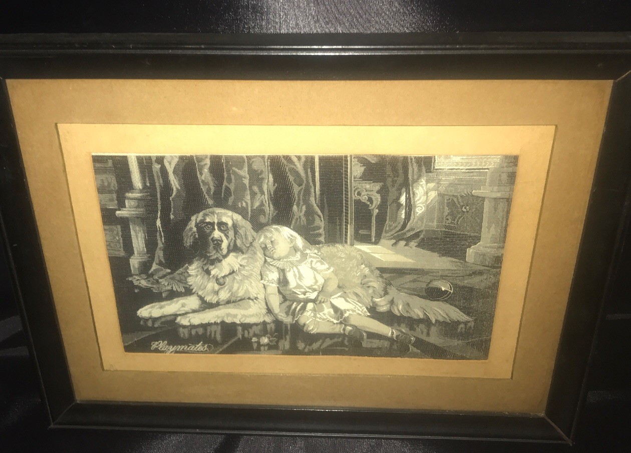 Picture 11 of 12