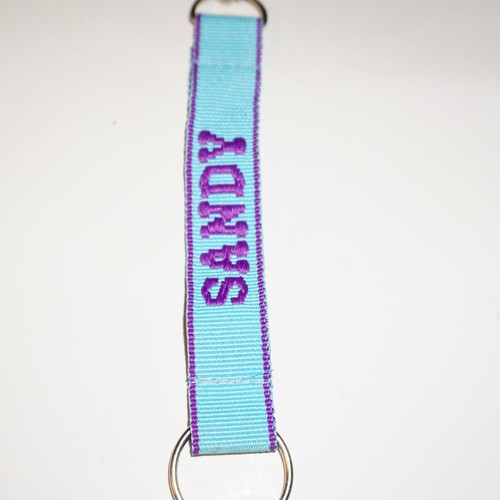 Key Chain Embroidered Lanyard Ring Clasp Choose Name or Fun Phrase 6" Colorful - 第 160/205 張圖片