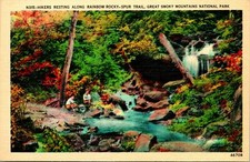 Great Smoky Mountains Ntl Park Hiker Rest Rainbow Trail Postcard Unused (29019)