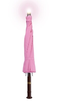 Wizarding World of Harry Potter New York Hagrid s Light-up Pink Umbrella Toy