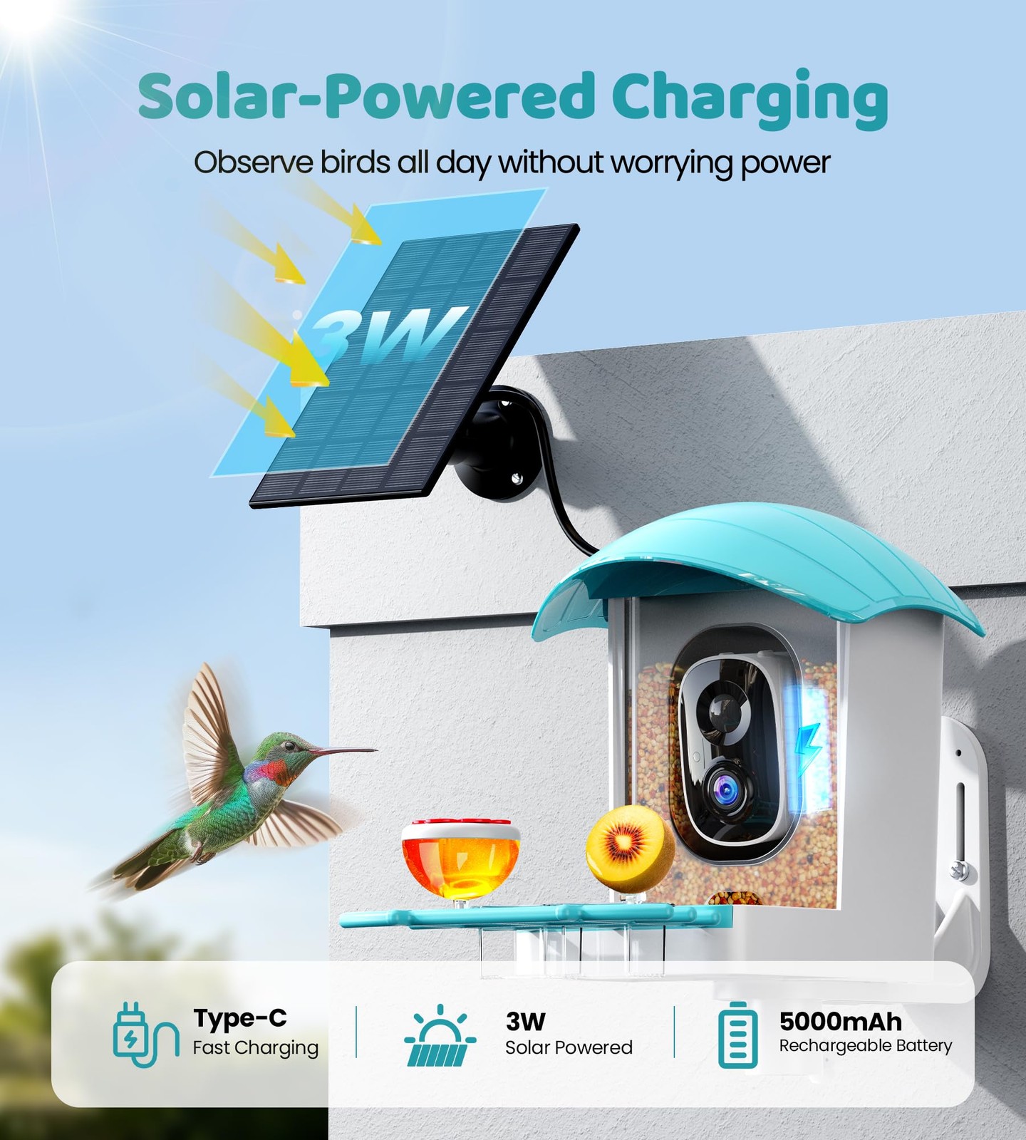 Bird Feeder with Camera Solar Powered: Smart Bird Feeders for Outdoors Garden...