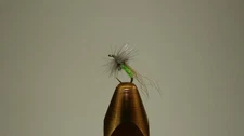 (5) Size#20 Barbless Green UV Sparkle Midge Dry Pearl Winged & Kip Tailer [A082]