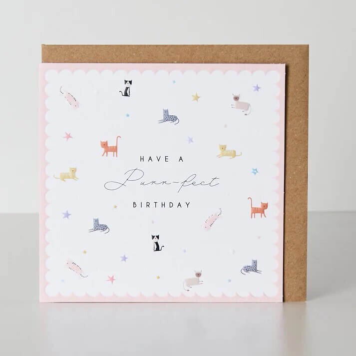 Fun Birthday Card Cats Purr-fect Kitten – Cute Pastel Embossed Greeting Card