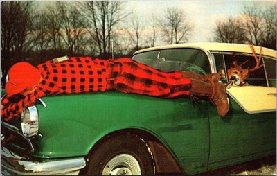 Klutz Press Vintage Humorous Postcard Man on Green Car with Deer C16