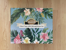 480Ml Can Shaped Glass Cups Set, Drinking Glasses with Bamboo Lids and Glass Str