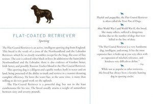 Flat Coated Retriever - CUSTOM MATTED Dog Art Print - Breed Description History