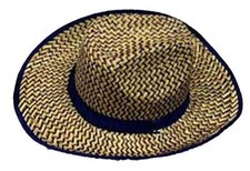 2 BLUE TRIM ZIG ZAG STRAW COWBOY HAT western HT111 cowgirl hats rodeo caps new