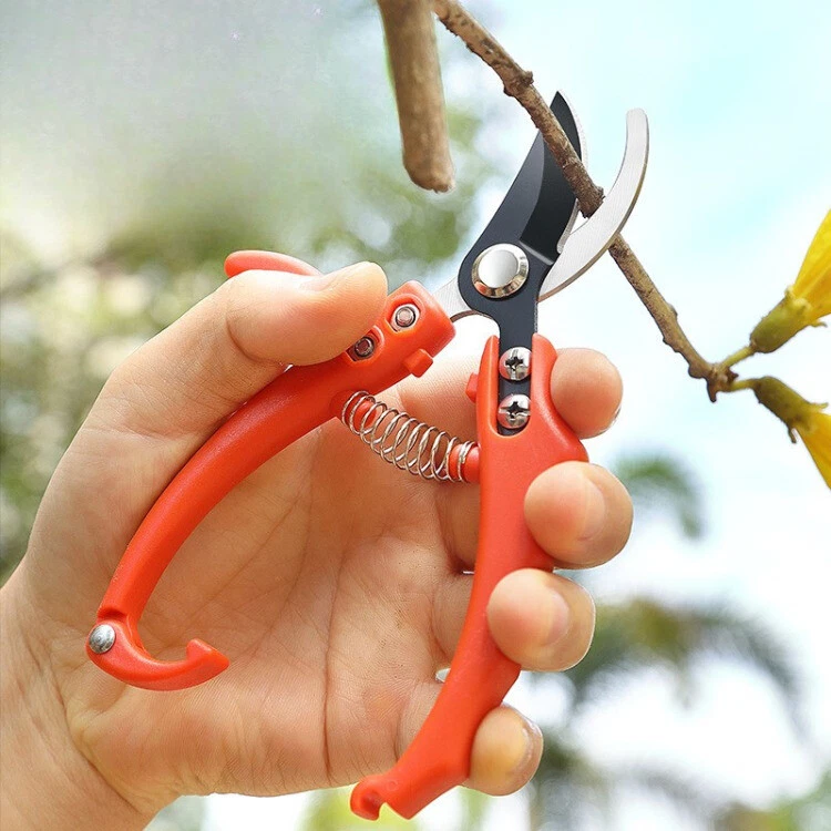 Garten Schere Wunderschere Floristenschere Ernteschere Blumen-Traubenschere Obst - Bild 4 von 4