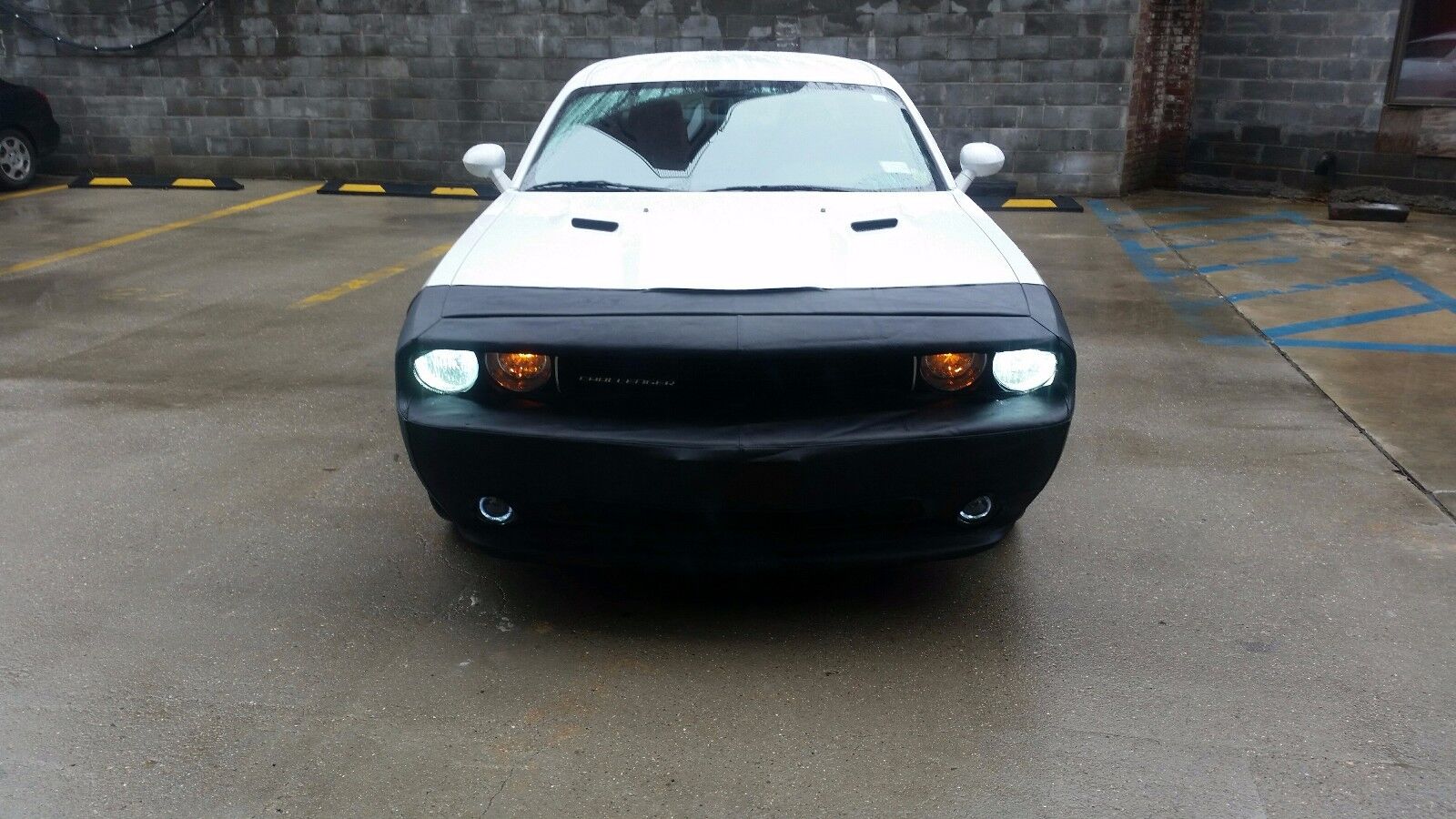Picture 1 of 1