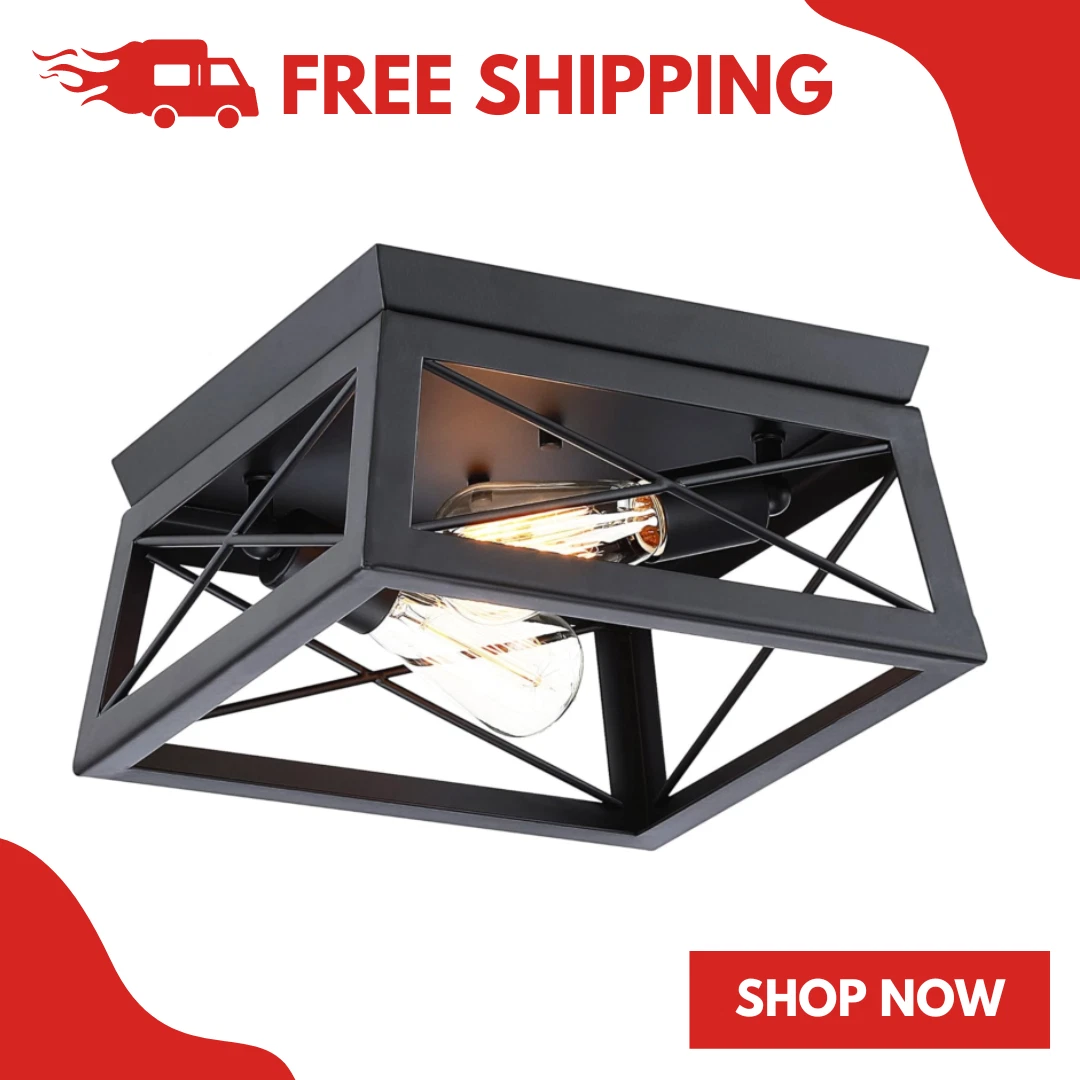Black flush 2024 outdoor ceiling lights