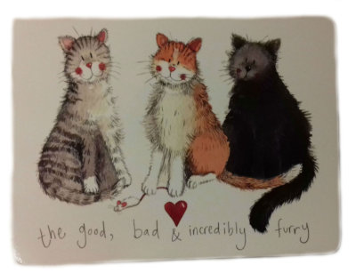 The Good, Bad & Incredibly Furry Cats Placemat, Tea Time, Tableware, Gifts MT09