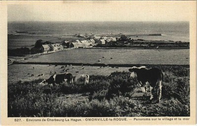 CPA OMONVILLE-la-ROUGE Panorama sur le village (152848)