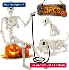 36" Halloween Skeleton Decorations - 3FT Posable Skeleton with Dog  Cat