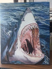 Shark acrylic canvas painting on plywood