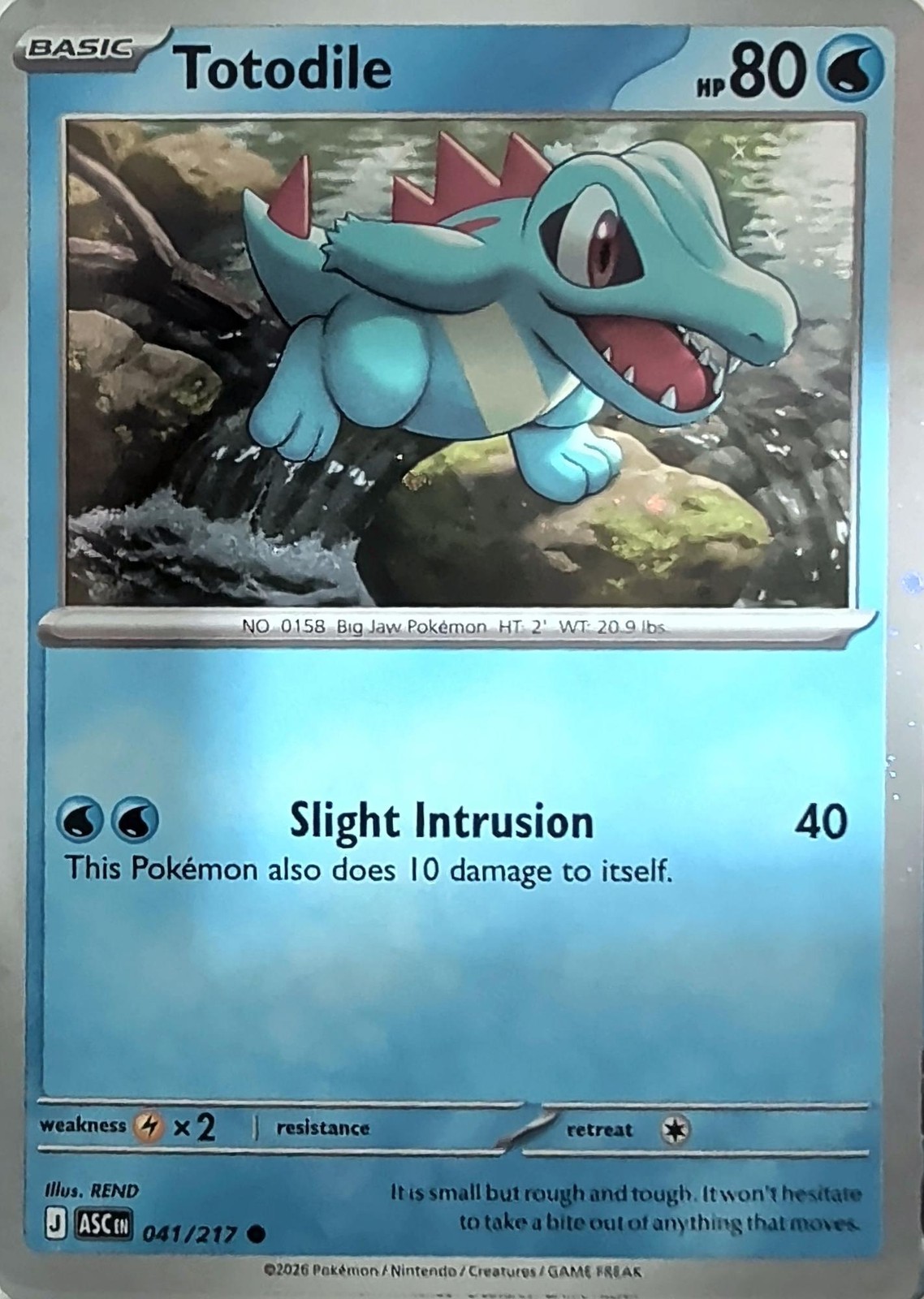 Totodile (Cosmos Holo) 041/217 Holo Miscellaneous Cards & Products Pokemon NM